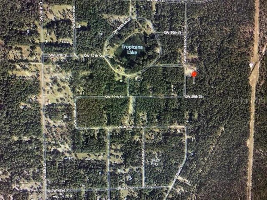 TBD LAKE TROPICANA RANCHETTES 1ST ADD, Dunnellon, FL 34432