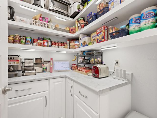 10170 ATWATER BAY DRIVE, Winter Garden, FL 34787