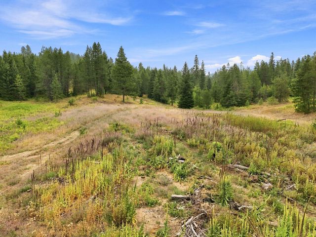 1301 Roberts Rd, Newport, WA 99156
