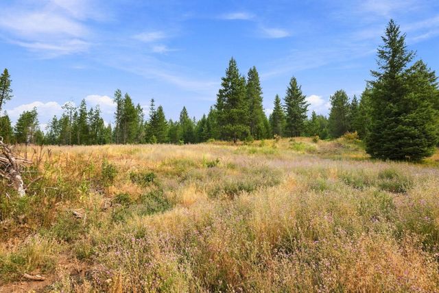 1301 Roberts Rd, Newport, WA 99156