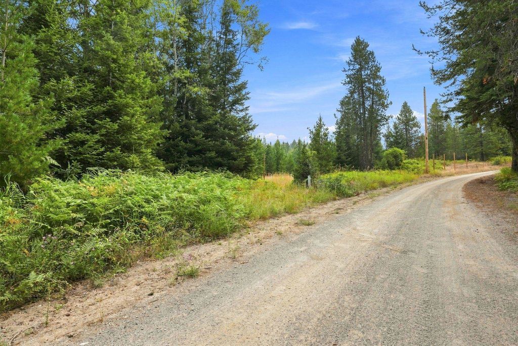 1301 Roberts Rd, Newport, WA 99156 photo 3
