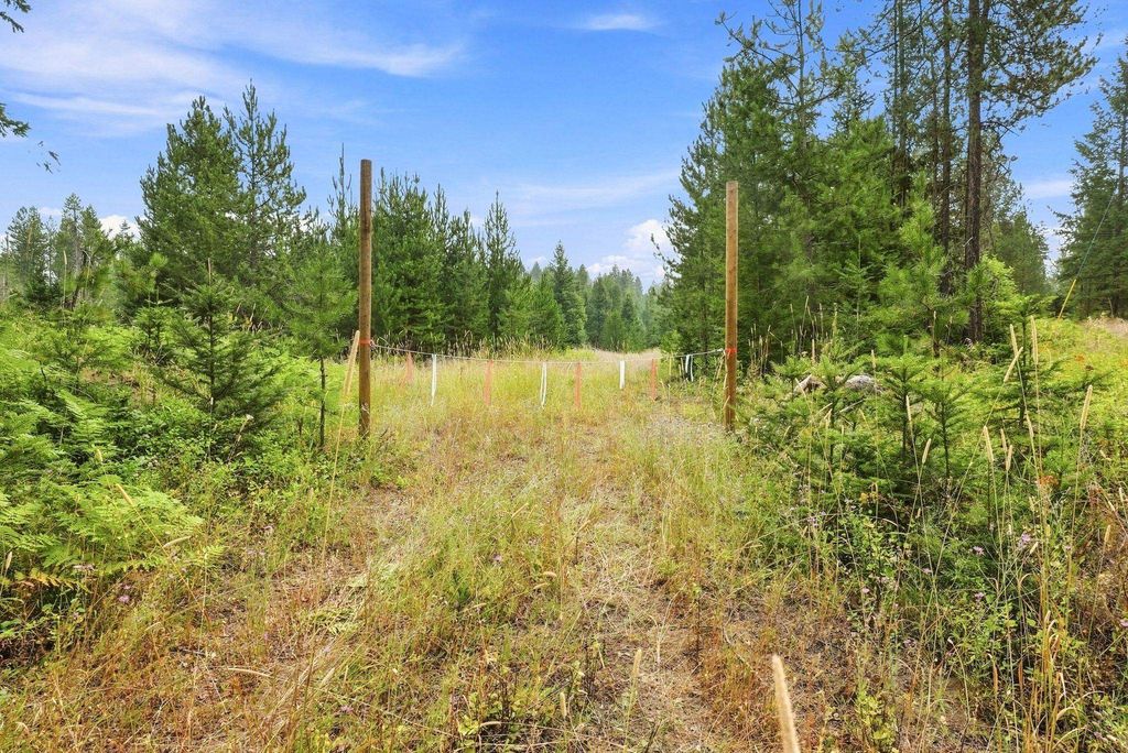 1301 Roberts Rd, Newport, WA 99156 photo 4