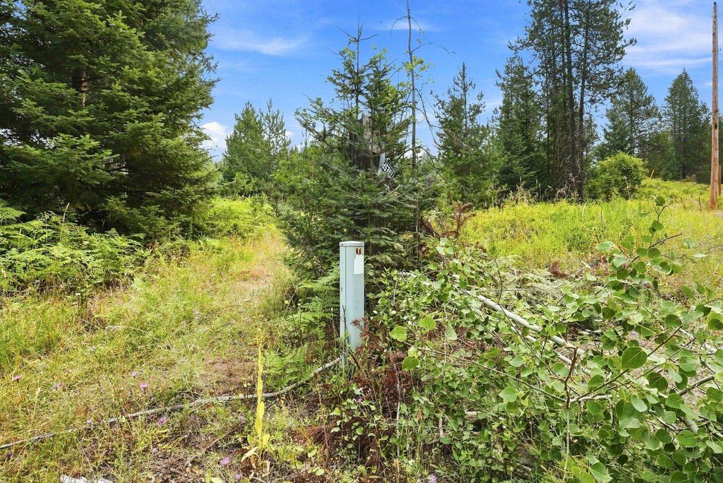 1301 Roberts Rd, Newport, WA 99156 photo 5