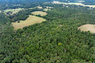 22.656 Acr Private Road 5040, Grapeland, TX 75844