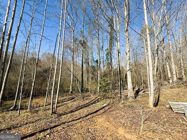 2220 O W Adams Road, Dewy Rose, GA 30634