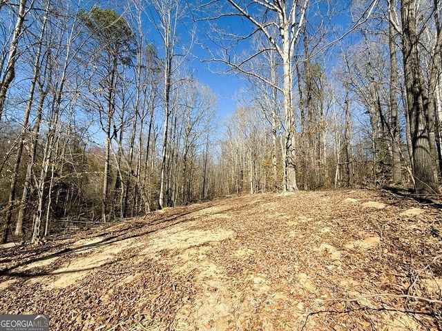 2220 O W Adams Road, Dewy Rose, GA 30634