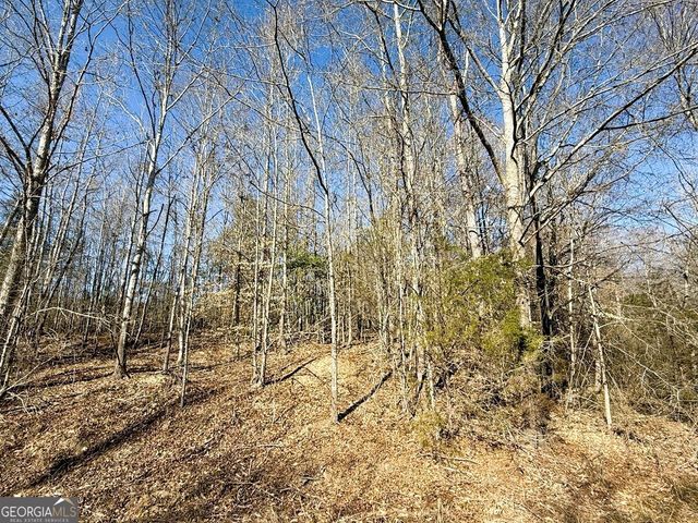 2220 O W Adams Road, Dewy Rose, GA 30634