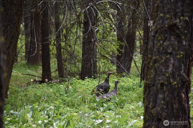 25813 Bridle Lane, Leavenworth, WA 98826