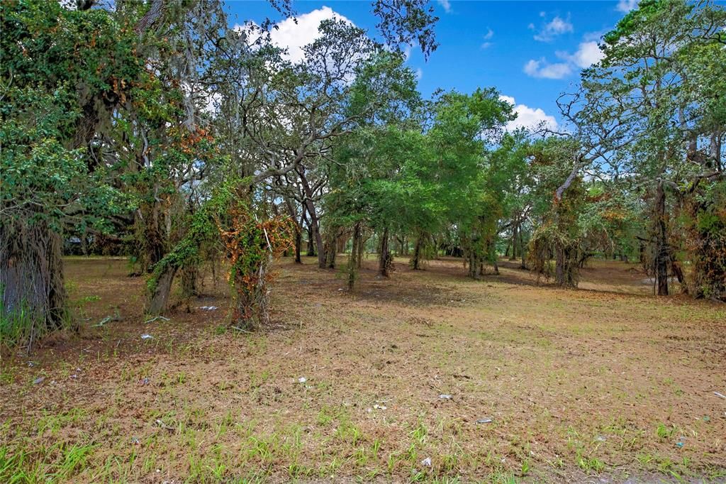 15727 HAYS ROAD, Spring Hill, FL 34610