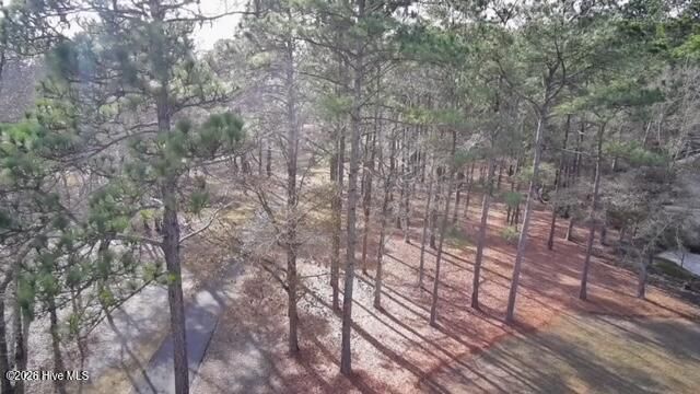 462 Laurel Valley Drive, Shallotte, NC 28470