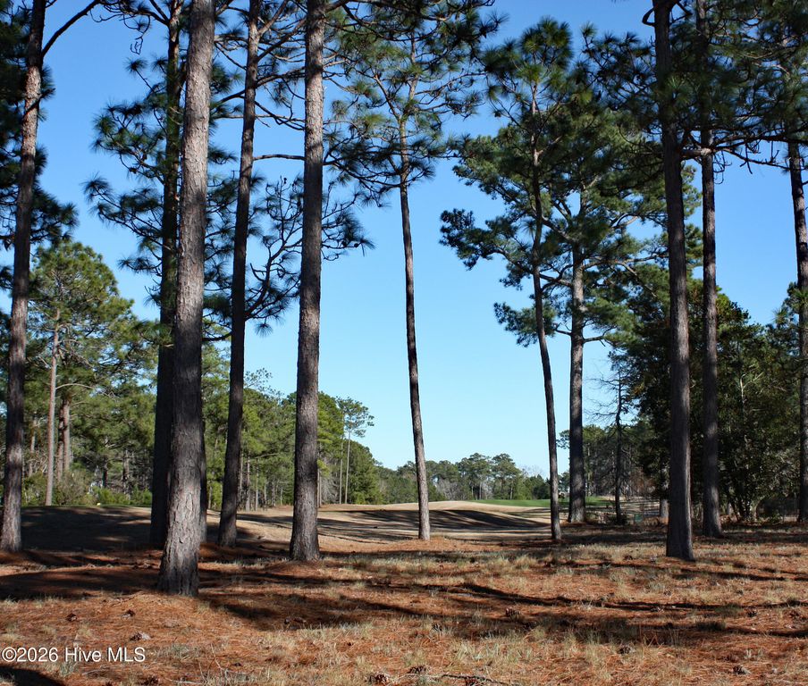 462 Laurel Valley Drive, Shallotte, NC 28470