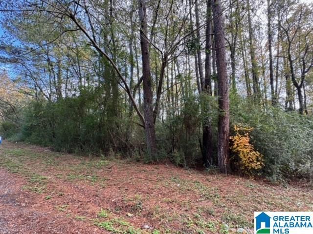 2201 WHITE POST ROAD, Bessemer, AL 35023