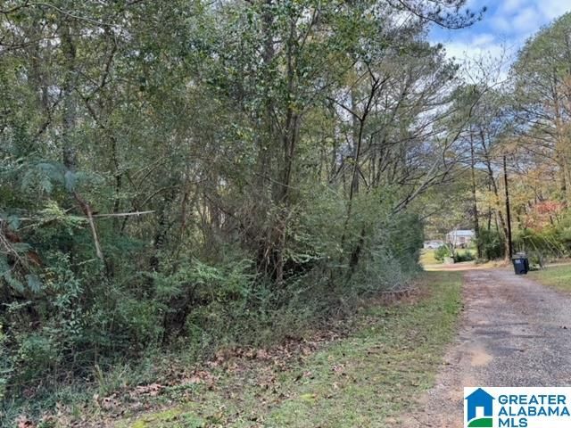 2201 WHITE POST ROAD, Bessemer, AL 35023