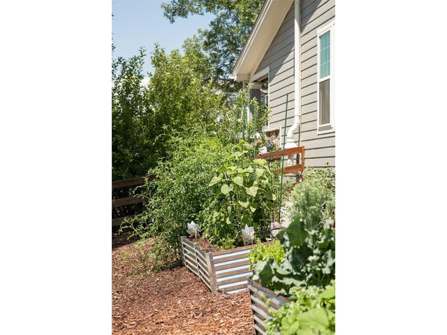 1155 Petras St, Erie, CO 80516