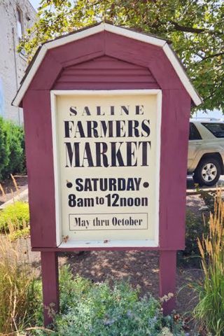 222 Monroe Street, Saline, MI 48176