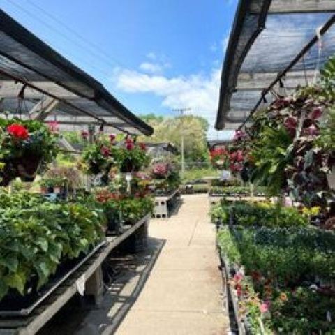 222 Monroe Street, Saline, MI 48176