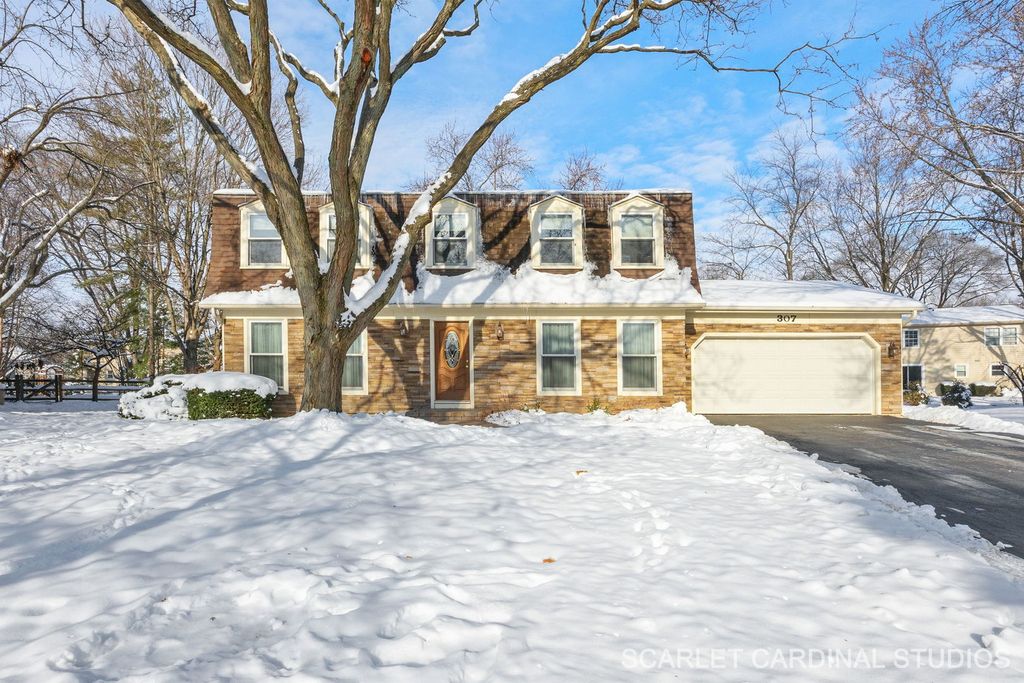 307 Leeds Court, Naperville, IL 60565