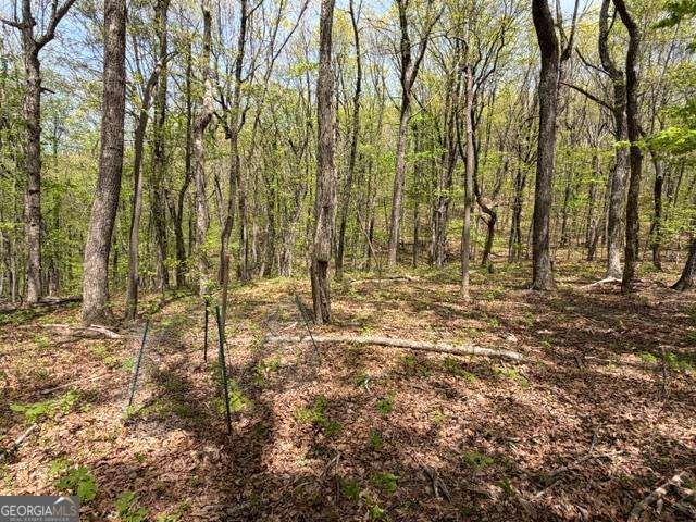 LOT 26 Falcons Nest 26, Jasper, GA 30413