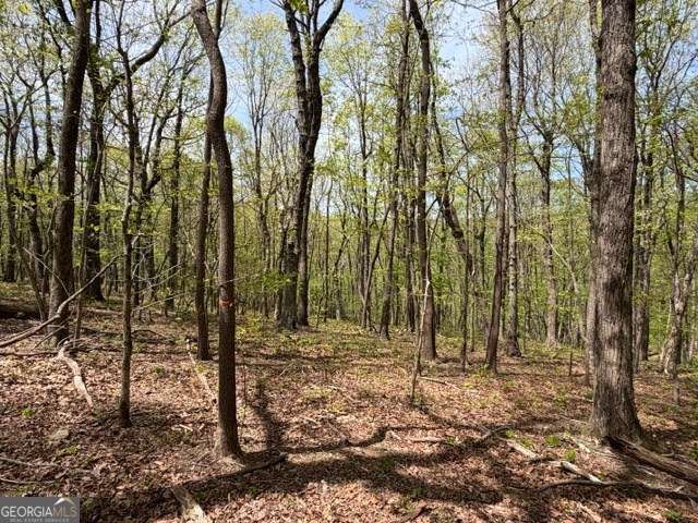 LOT 26 Falcons Nest 26, Jasper, GA 30413