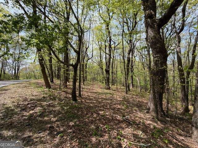 LOT 26 Falcons Nest 26, Jasper, GA 30413