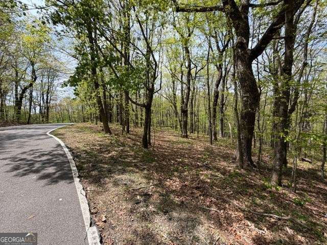 LOT 26 Falcons Nest 26, Jasper, GA 30413