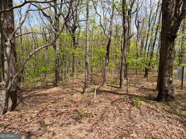 LOT 26 Falcons Nest 26, Jasper, GA 30413
