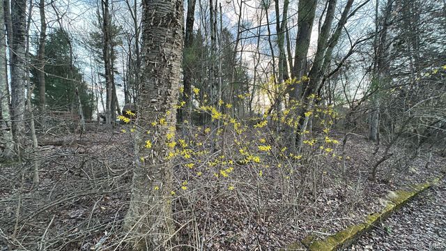 TBD Diane Boulevard, Woodridge, NY 12789