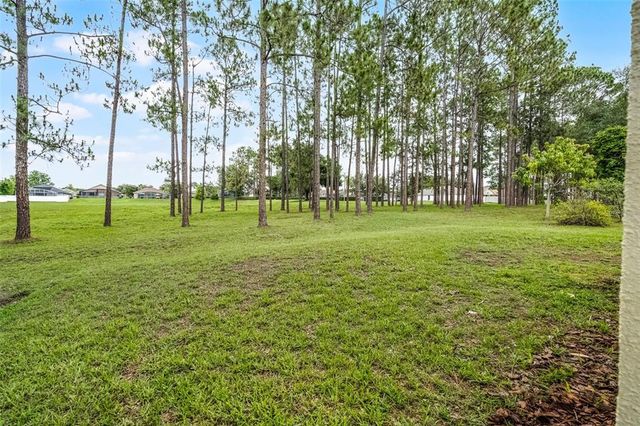 142 STONEGATE PASS, Davenport, FL 33897