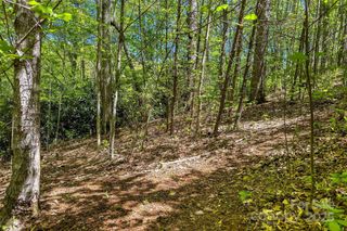 tbd Hunting Lodge Drive 9, Black Mountain, NC 28711