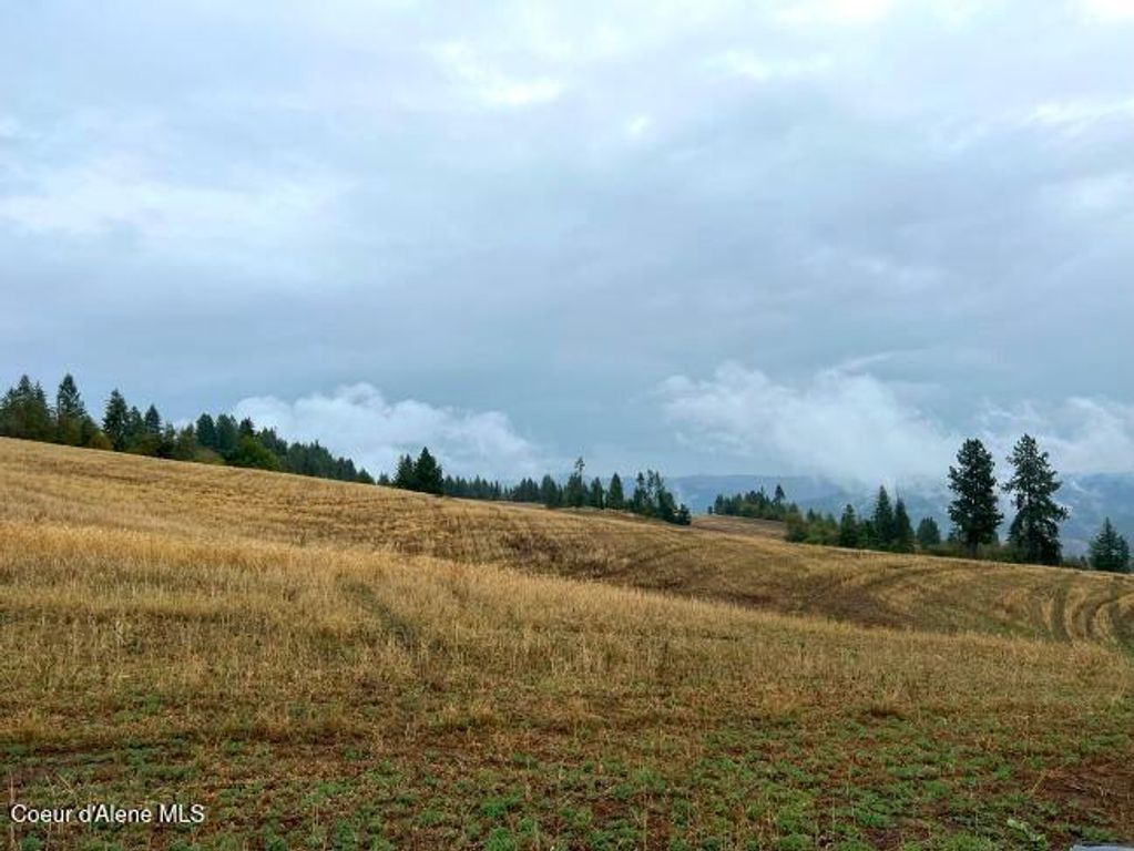 NKA 618acs Freeman Creek Rd, Lenore, ID 83541 photo 12