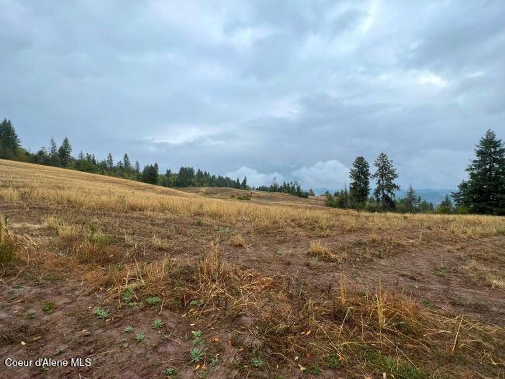 NKA 618acs Freeman Creek Rd, Lenore, ID 83541 photo 13