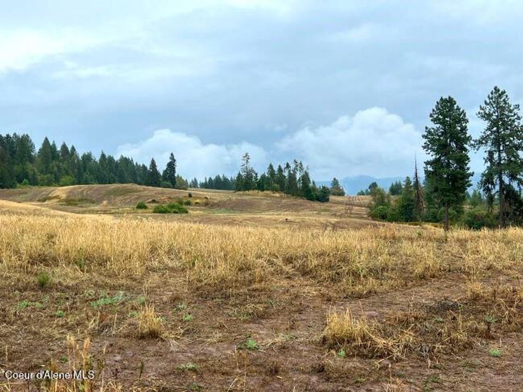 NKA 618acs Freeman Creek Rd, Lenore, ID 83541 photo 14