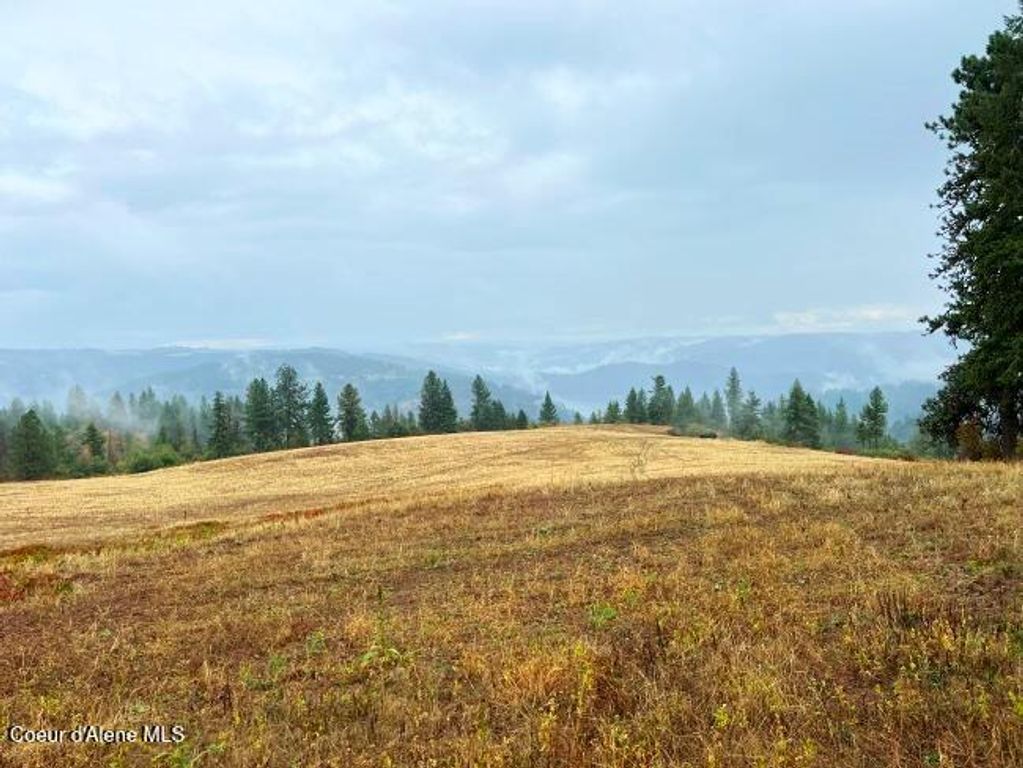 NKA 618acs Freeman Creek Rd, Lenore, ID 83541 photo 15