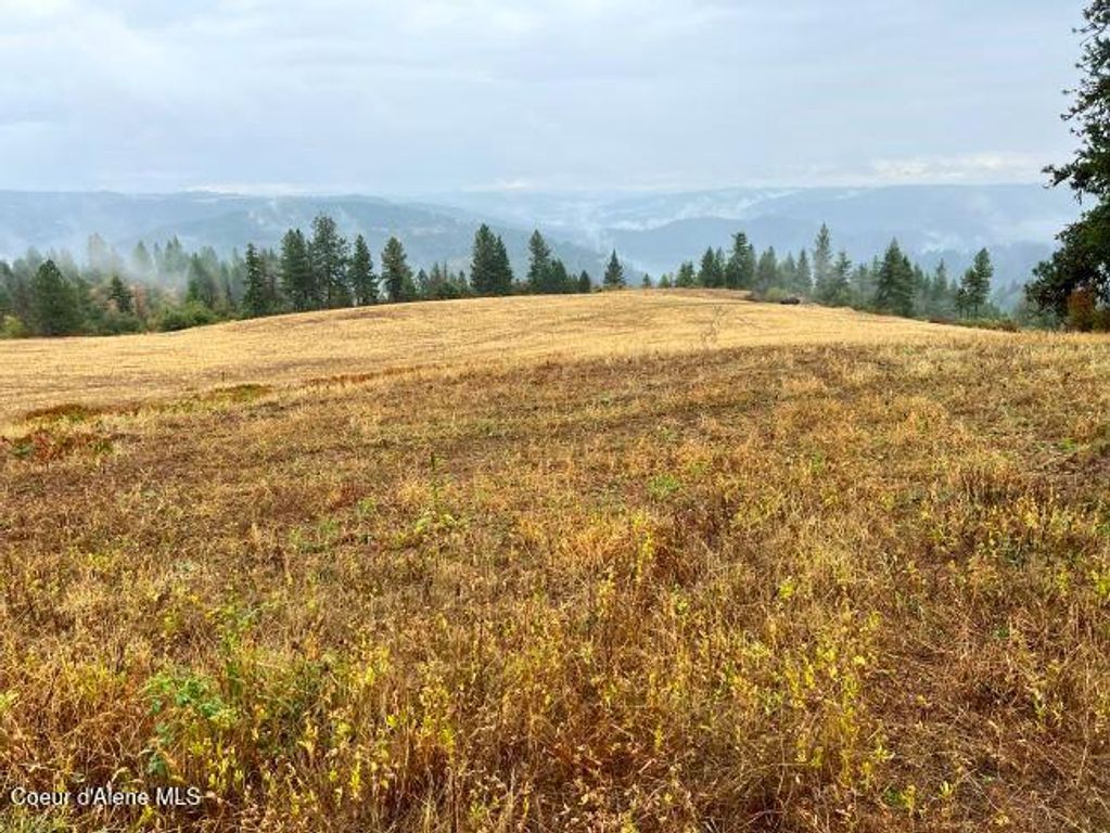 NKA 618acs Freeman Creek Rd, Lenore, ID 83541 photo 16