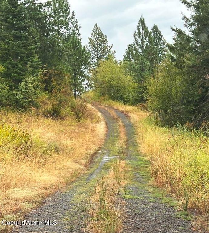 NKA 618acs Freeman Creek Rd, Lenore, ID 83541 photo 17