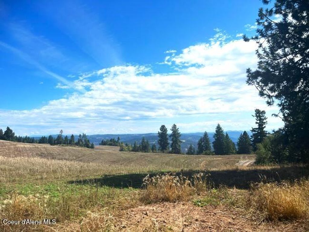 NKA 618acs Freeman Creek Rd, Lenore, ID 83541 photo 18