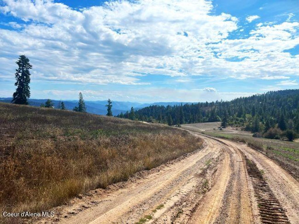 NKA 618acs Freeman Creek Rd, Lenore, ID 83541 photo 19