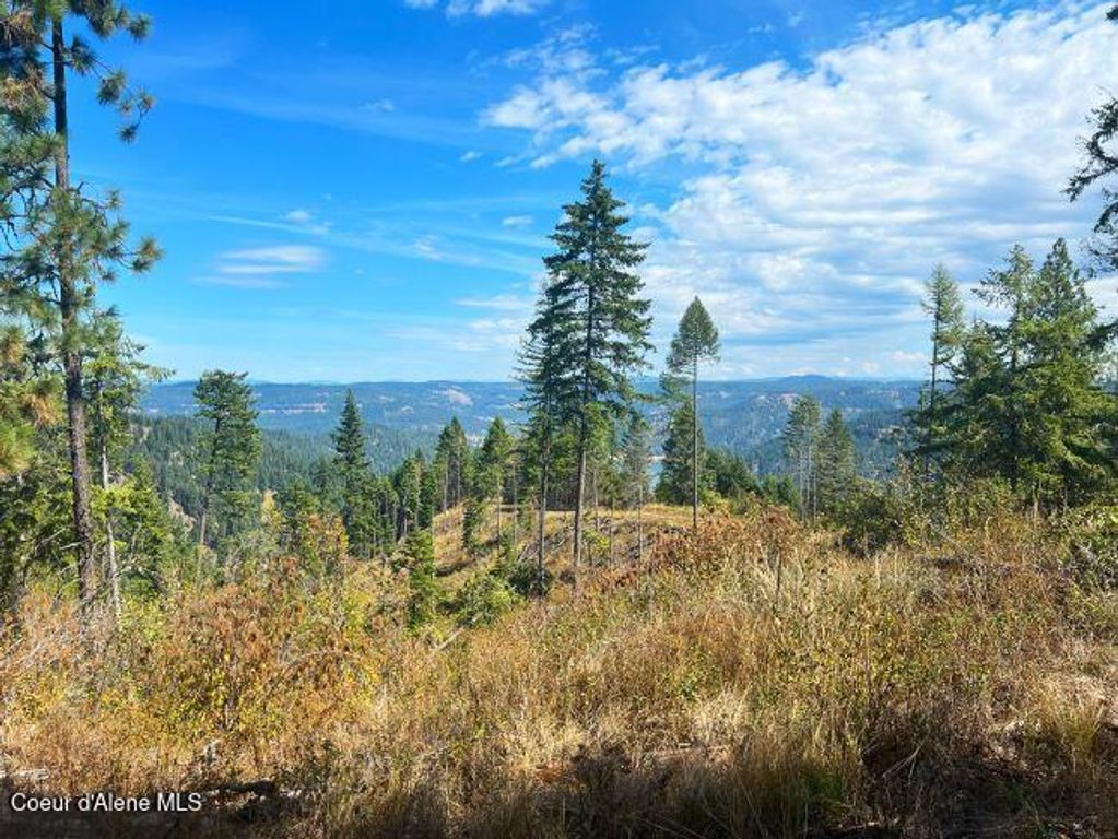 NKA 618acs Freeman Creek Rd, Lenore, ID 83541 photo 20