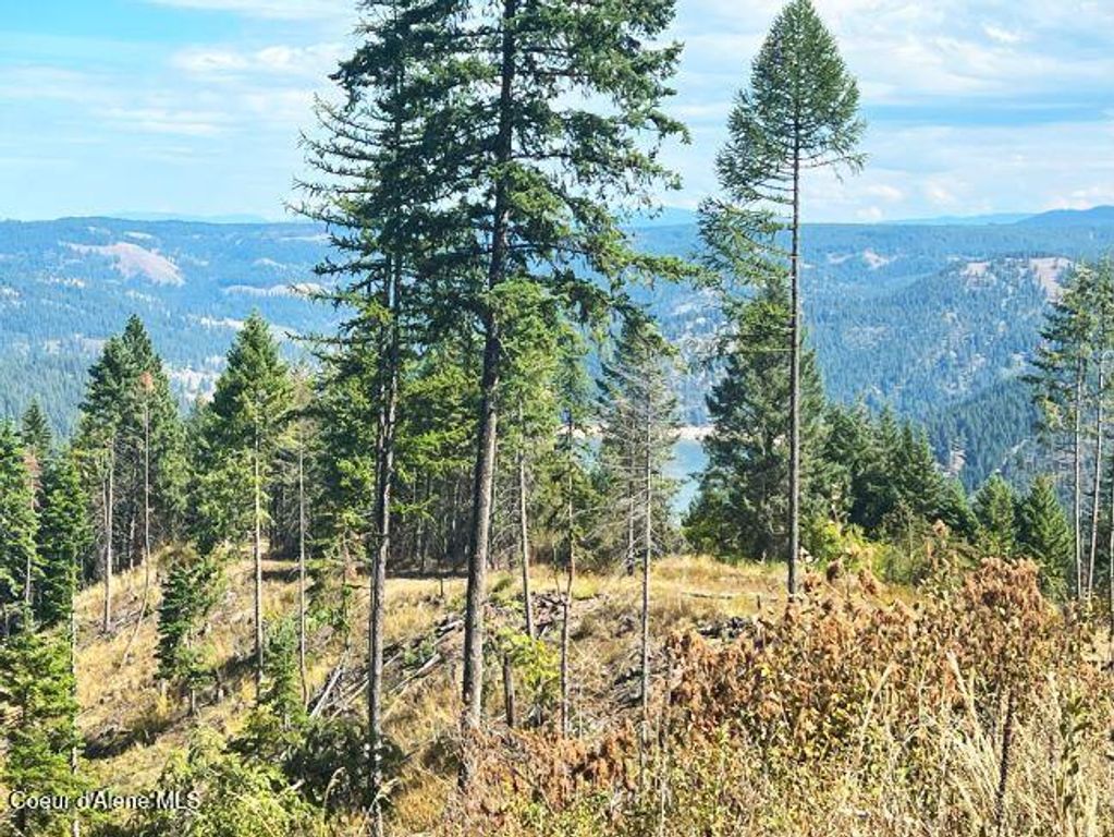 NKA 618acs Freeman Creek Rd, Lenore, ID 83541 photo 21