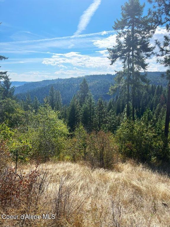 NKA 618acs Freeman Creek Rd, Lenore, ID 83541 photo 22