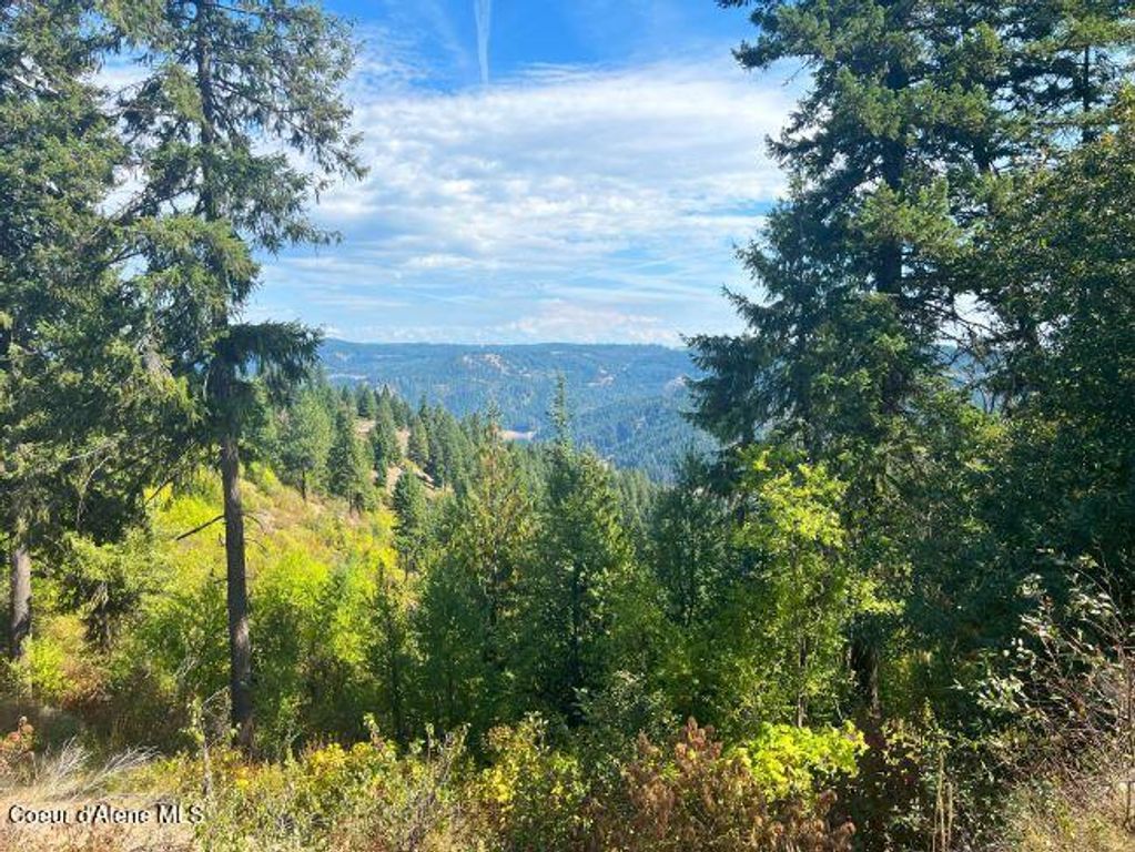 NKA 618acs Freeman Creek Rd, Lenore, ID 83541 photo 23