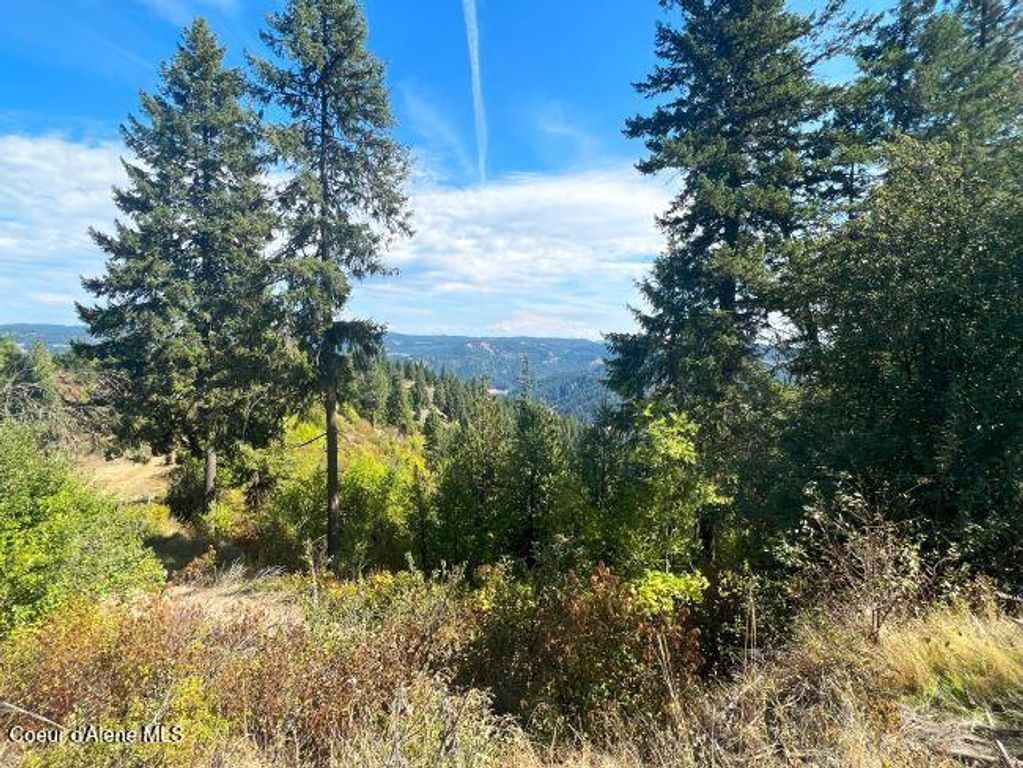 NKA 618acs Freeman Creek Rd, Lenore, ID 83541 photo 24