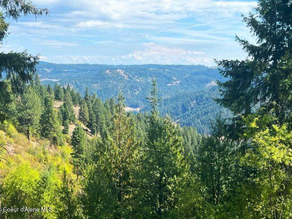 NKA 618acs Freeman Creek Rd, Lenore, ID 83541 photo 25