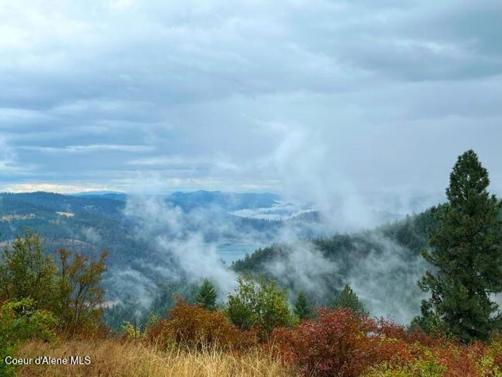 NKA 618acs Freeman Creek Rd, Lenore, ID 83541 photo 6