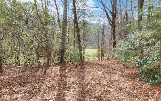 7300 Mr Bert Road, Hiawassee, GA 30546