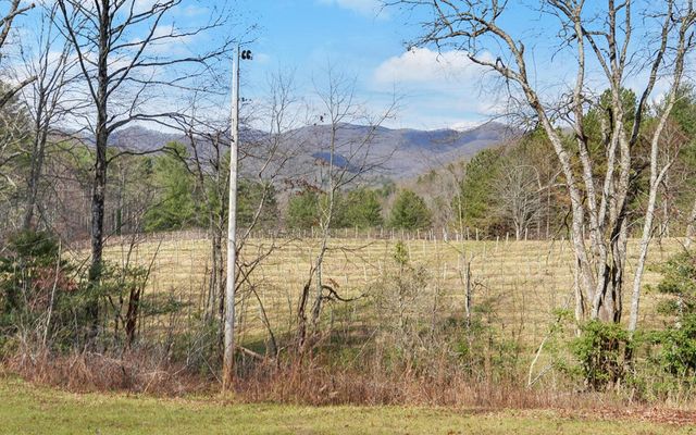 7300 Mr Bert Road, Hiawassee, GA 30546