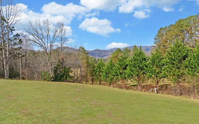7300 Mr Bert Road, Hiawassee, GA 30546