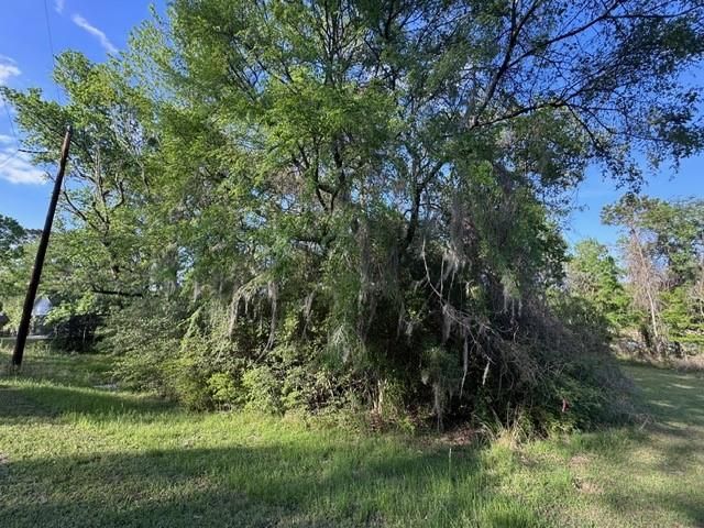 TBD10 Coral Gables, Trinity, TX 75862