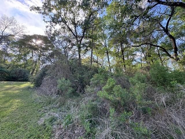 TBD10 Coral Gables, Trinity, TX 75862