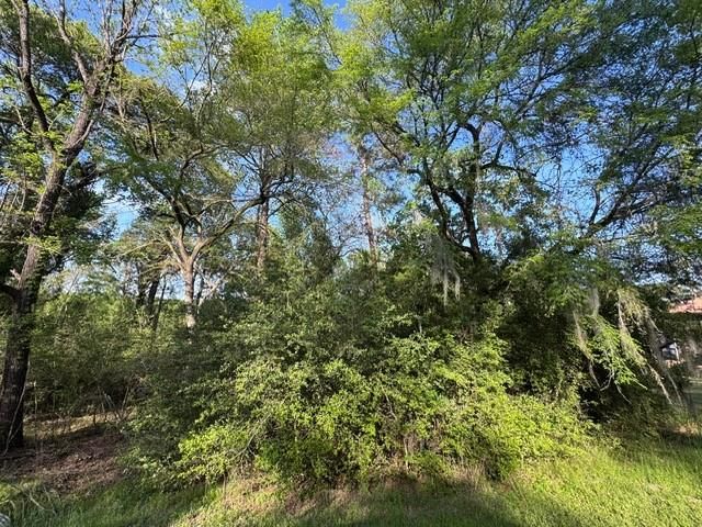 TBD10 Coral Gables, Trinity, TX 75862